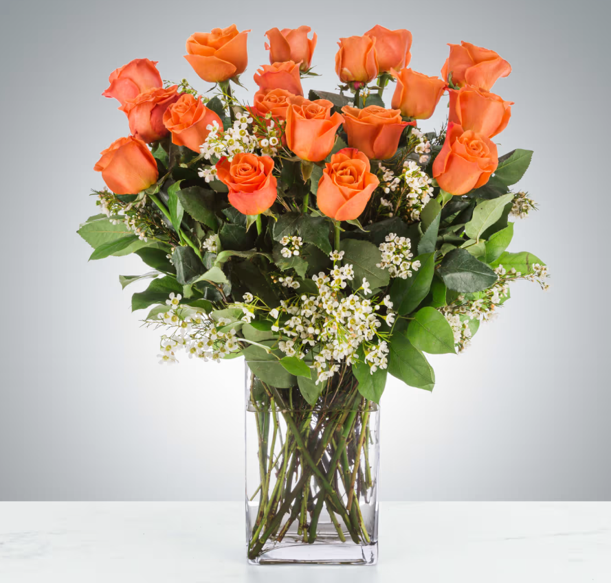 Roses by the Dozen